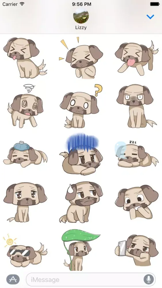 Ảnh chụp màn hình của Puppy Pug