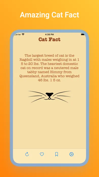 Cat Fact - Yes! Cat have fact应用截图