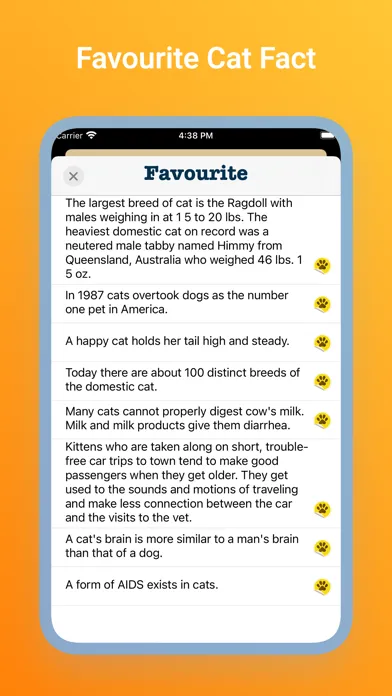 Cat Fact - Yes! Cat have fact应用截图
