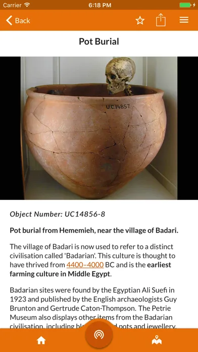 Ảnh chụp màn hình của Petrie Museum