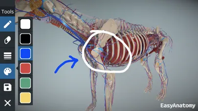 EasyAnatomy: 3D Canine Anatomy স্ক্রিনশট