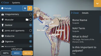 EasyAnatomy: 3D Canine Anatomy স্ক্রিনশট
