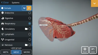 EasyAnatomy: 3D Canine Anatomy স্ক্রিনশট