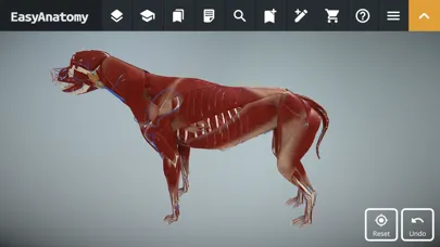 EasyAnatomy: 3D Canine Anatomy স্ক্রিনশট
