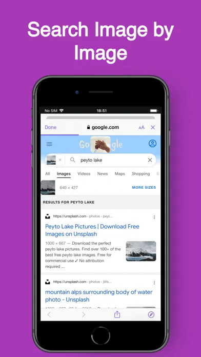 Image Reverse - Image Search سکرین شاٹس