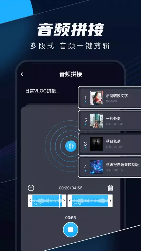 Captures d'écran de 随声录