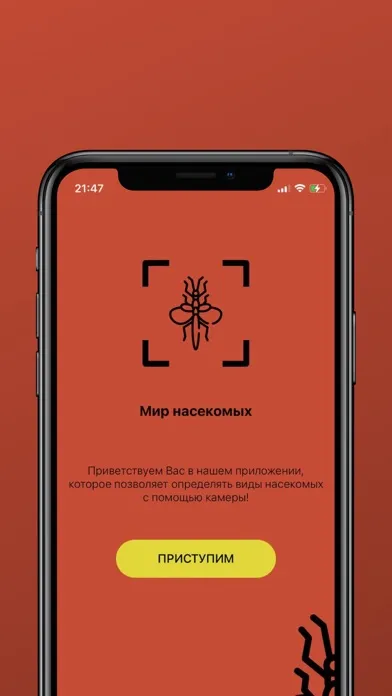 ภาพหน้าจอของ Мир насекомых