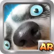 AR WOW - Have a cute dog AR WOW - Have a cute dog