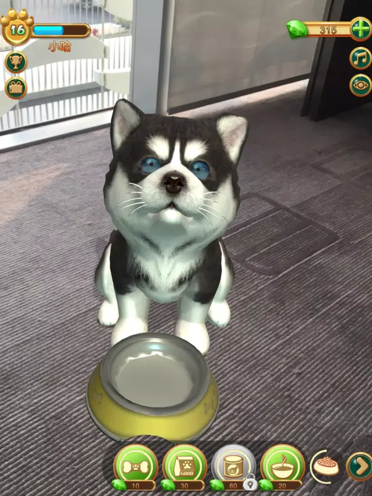 AR WOW - Have a cute dog iPad  स्क्रीनशॉट