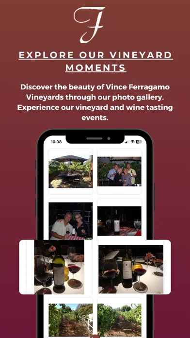 تصاویر Vince Ferragamo Vineyards
