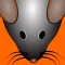 CatzPlay Game for Cats
