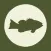 Local Catch App