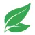 Camden Eco Points