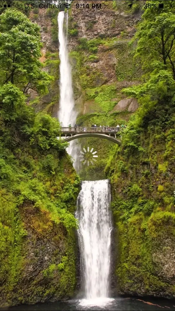 Zrzuty ekranu Oregon