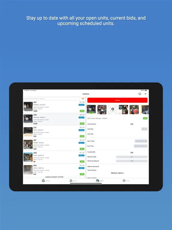 Tangkapan skrin LockerfoxSV iPad 