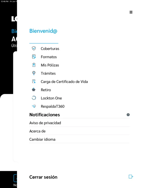Скриншоты beMobile Lockton México iPad 