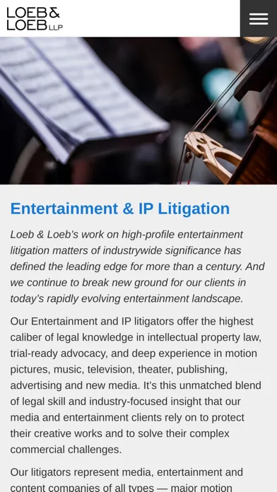IP/Entertainment Cases Screenshots