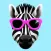 Quizebra: Funniest Quizzes
