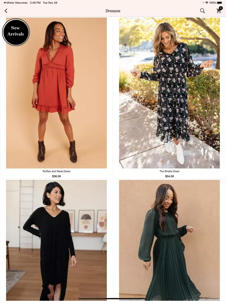 تصاویر Logan Jane Boutique iPad 