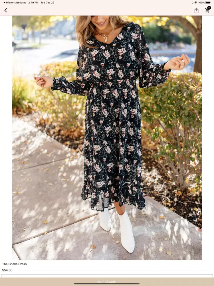 تصاویر Logan Jane Boutique iPad 