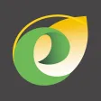 E-Grains