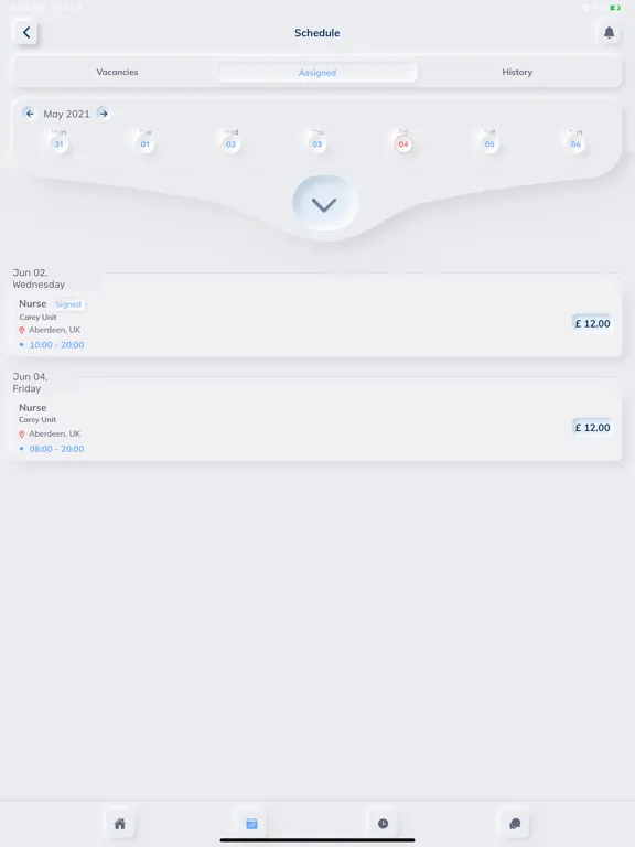 Blue Star Resourcing iPad  Screenshots