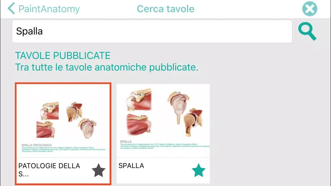 Captures d'écran de PaintAnatomy