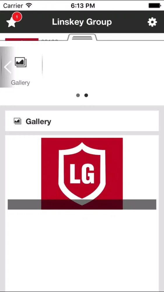 Linskey Group سکرین شاٹس