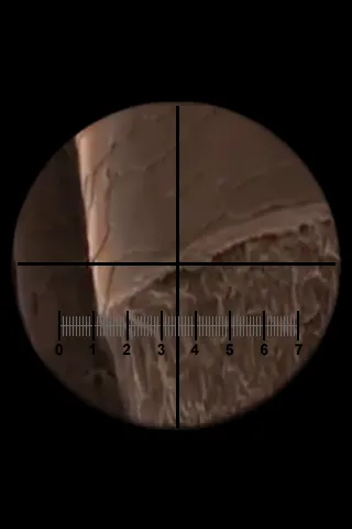 Microscope应用截图