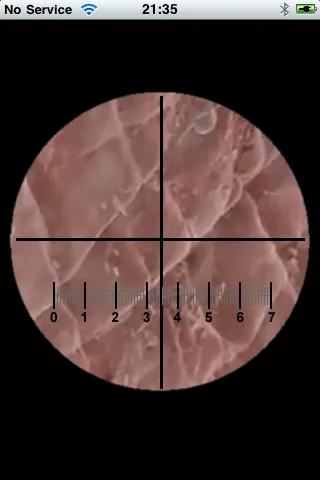 Microscope应用截图
