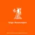 Virgo Horoscopes 2017