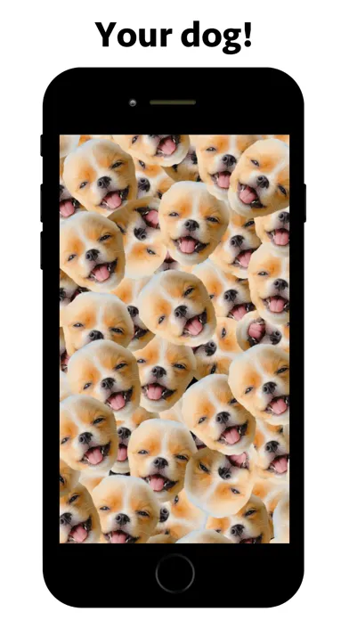 FACE MASH! - WALLPAPER Ekran Görüntüleri