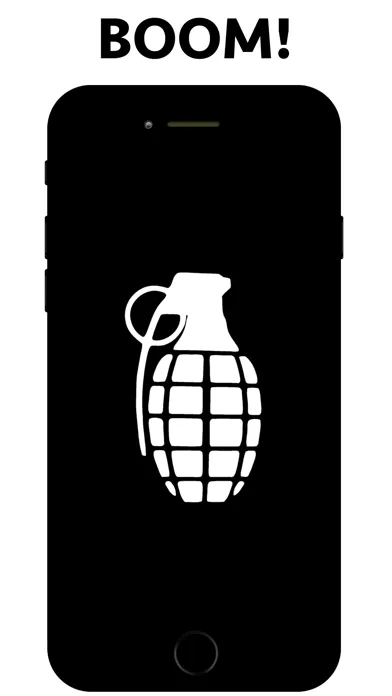 The Sound Bomb Challenge應用截圖