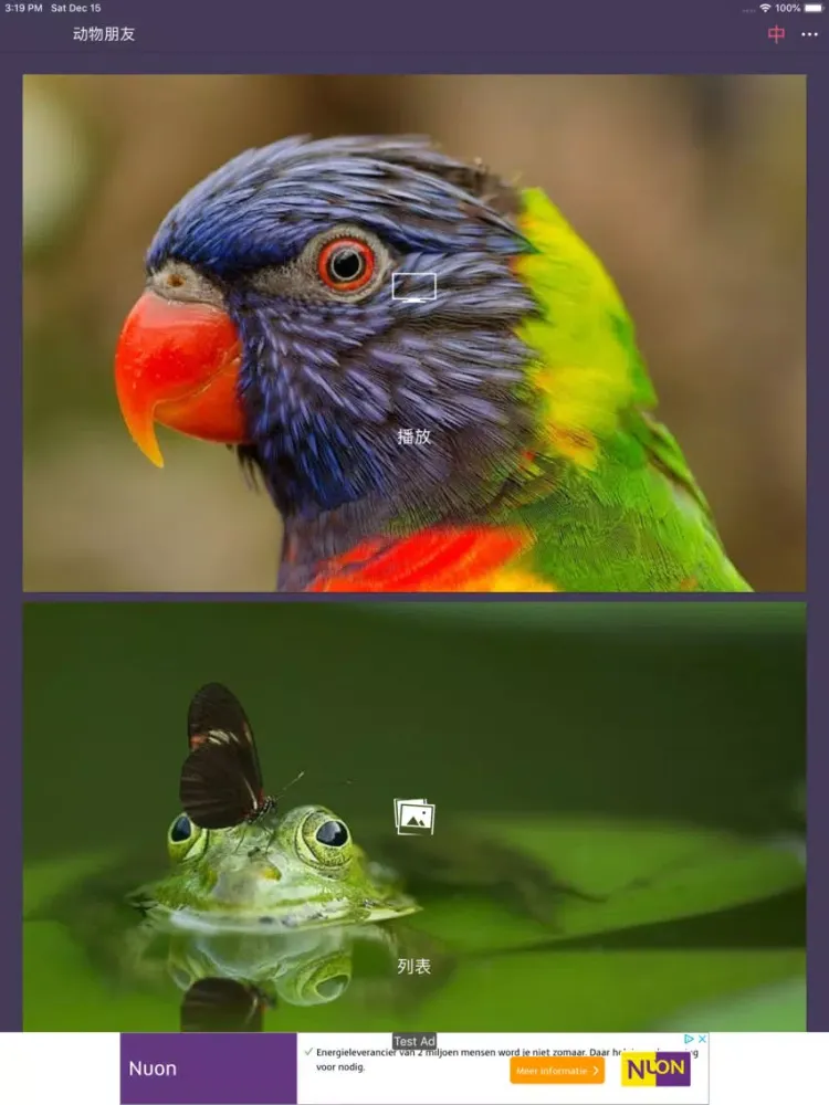 Capturas de pantalla de LonelyPix 动物朋友精简版(中英双语) iPad 