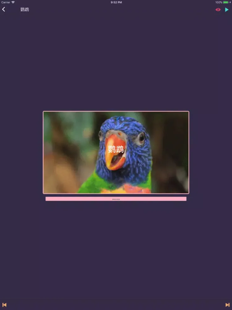 Capturas de pantalla de LonelyPix 动物朋友精简版(中英双语) iPad 