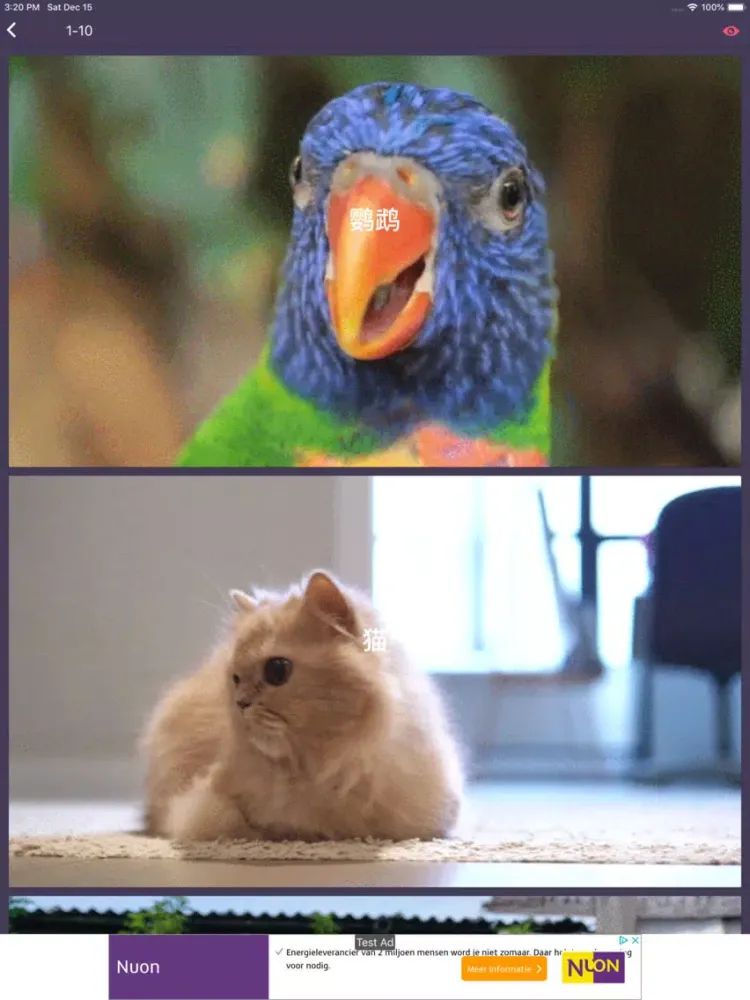 Capturas de pantalla de LonelyPix 动物朋友精简版(中英双语) iPad 