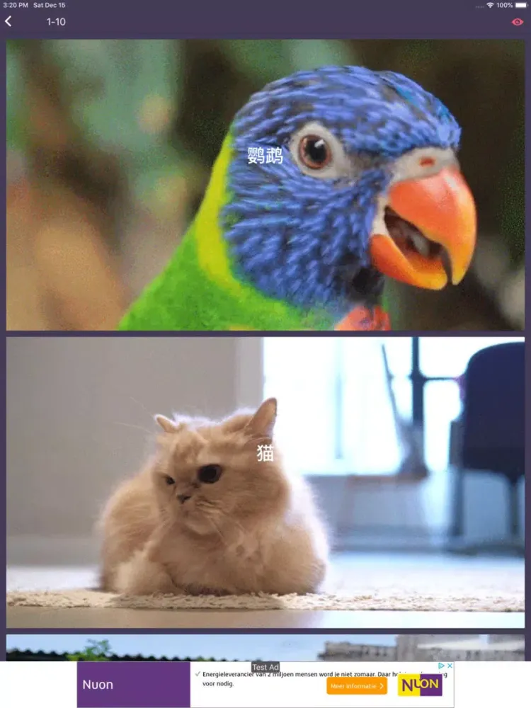 Capturas de pantalla de LonelyPix 动物朋友精简版(中英双语) iPad 