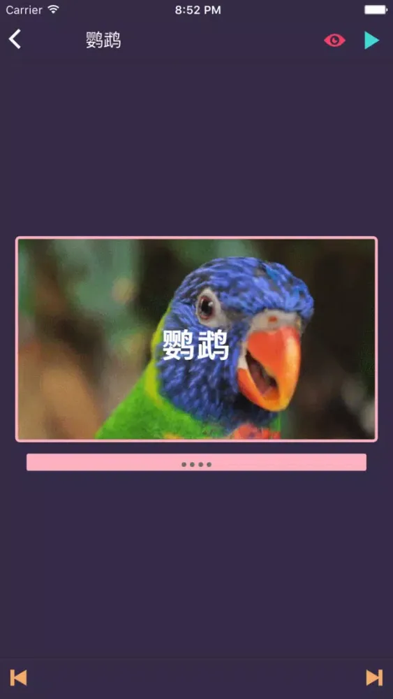 Capturas de pantalla de LonelyPix 动物朋友精简版(中英双语)