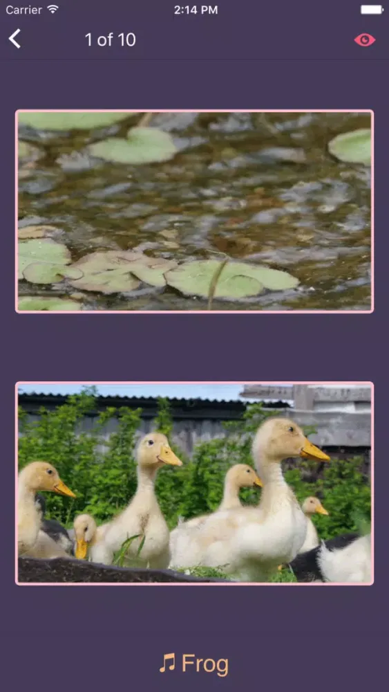 Capturas de pantalla de LonelyPix 动物朋友精简版(中英双语)