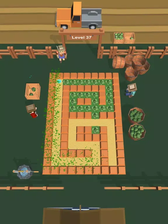 Harvest Maze - Farm Puzzle iPad  스크린샷