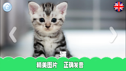 تصاویر 学习认知-涂色学画画