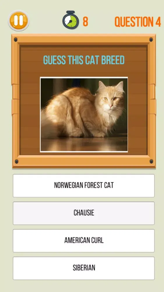 Amazing Kitty Cat Trivia - A Free Animal Quick Trivia Quiz應用截圖