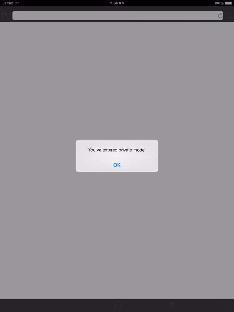 My Special Browser Pro : Private Browsing + Fullscreen + Multi-Tabs iPad  Screenshots