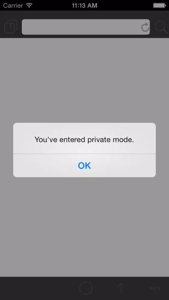 My Special Browser Pro : Private Browsing + Fullscreen + Multi-Tabs Screenshots