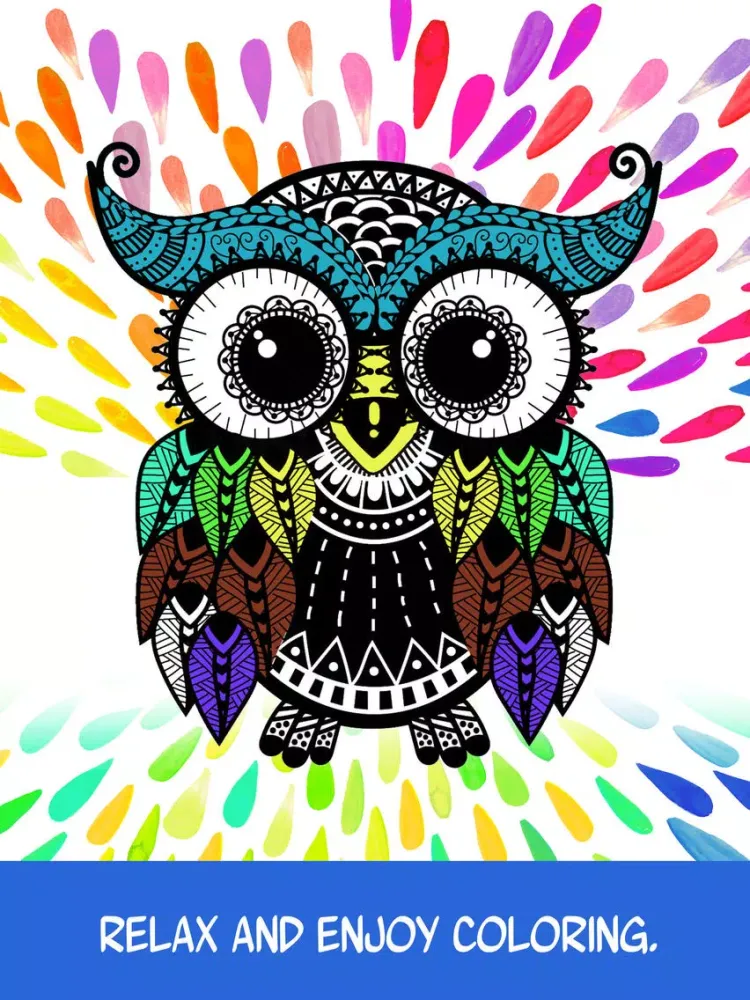 تصاویر Owl: Discover Magic Coloring Pages for Adults iPad 