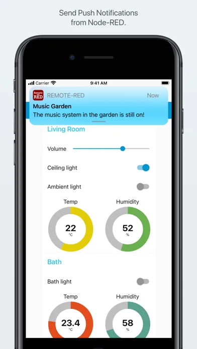 تصاویر Remote-RED