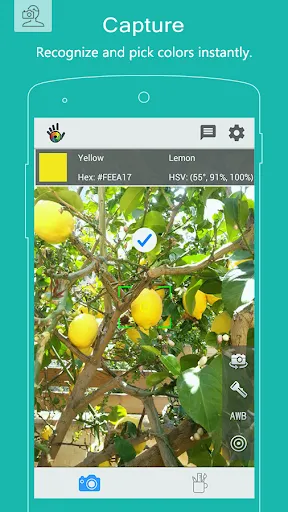 Color Grab (color detection) Screenshots