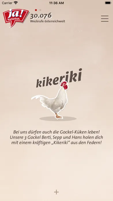 تصاویر Kikeriki!