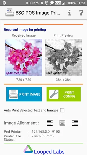 Screenshot di ESC POS Wifi Print Service