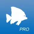 AquariaPro AquariaPro